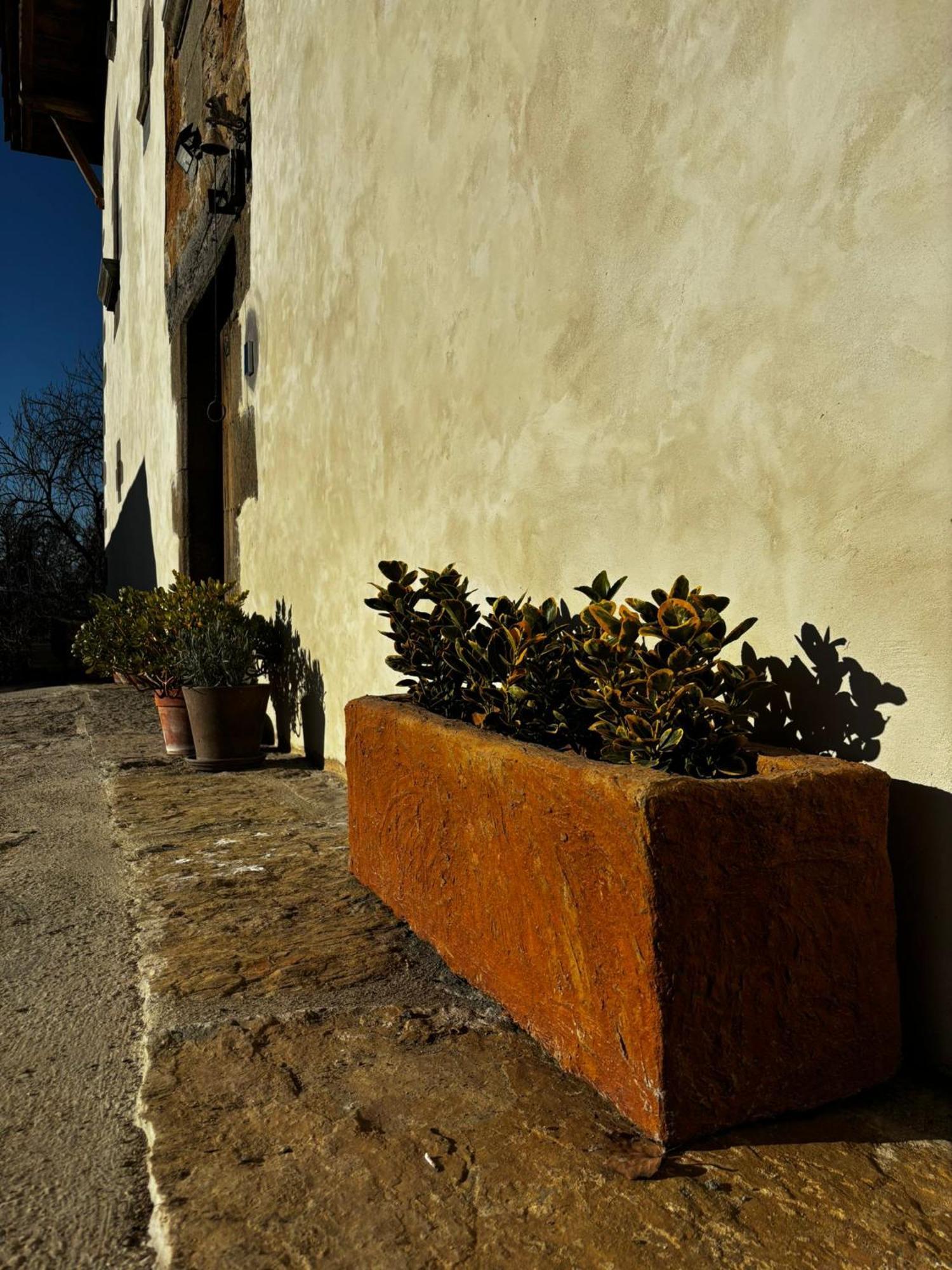 Casa Rural Mas Arimany Cantonigros Kültér fotó